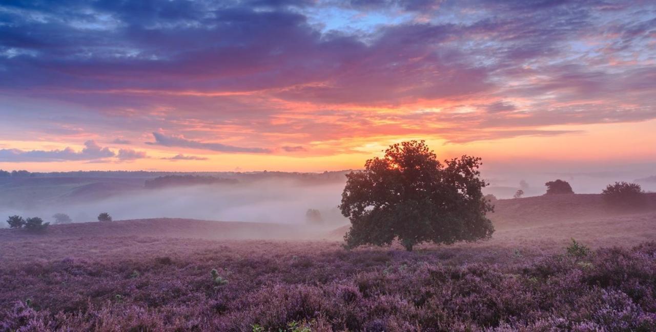 Sfeervol Chalet Op De Veluwe Putten Dış mekan fotoğraf